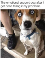1610760660430.png