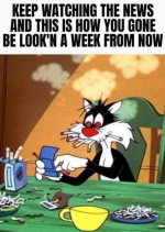 1610761756362.png