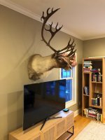 John's Caribou Mount 012021.jpg