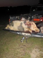 HOG1.jpg