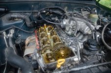DSC_5657.jpg