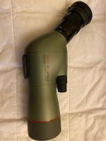 IMG_1291.jpg