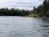 840EA67D-6340-4CEE-A835-1B04F99F666F.jpeg