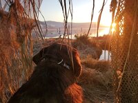 sunrise.jpg
