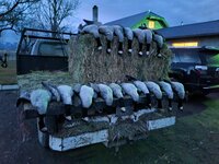 20210110_180711.jpg