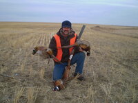 S.D. Pheasants.JPG