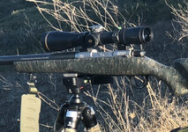 75CFDCB0-EFED-40AD-8BC1-13146DC3BBCD.jpeg 75CFDCB0-EFED-40AD-8BC1-13146DC3BBCD.jpeg