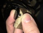 IMG_0025.jpg