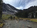 IMG_1413.jpg