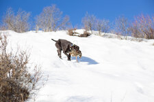 IMG_1395.jpg
