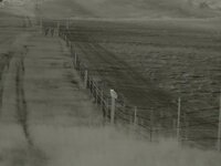 DE4D6C8A-F97B-4E1B-A07A-C40A6B11BCC8.jpeg DE4D6C8A-F97B-4E1B-A07A-C40A6B11BCC8.jpeg