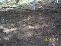 100_2291.JPG