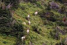 IMG_1354-2 (Custom).jpg
