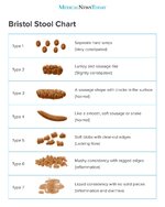 bristol-stool-chart-image-credit-kylet-2011.jpg