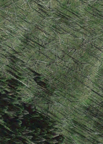 Screenshot_20210203-094602.png