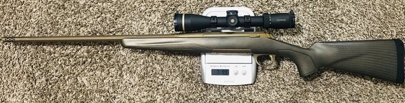 335AFFC6-C256-4AEF-AA37-D85612080A06.jpeg