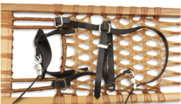 Screen Shot 2021-02-07 at 1.00.20 PM.png