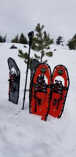 20201229_141836.jpg