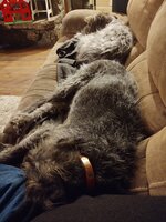 IMG_20210209_072206275.jpg