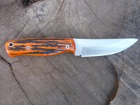 H1 Amber Stag Bone 2.jpg