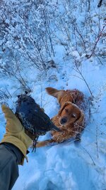 20201231_093939.jpg