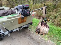IMG_20201104_193808_845.jpg