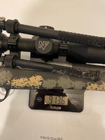 Gun 2.jpg