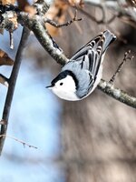 P2070432-2 (Custom).jpg