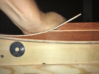 D0DD5528-E7B1-40C2-9EFA-4079B4ABEE7C.jpeg D0DD5528-E7B1-40C2-9EFA-4079B4ABEE7C.jpeg