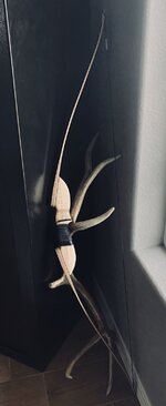 508E4102-65B2-454B-A00A-84A08A8C8B98.jpeg 508E4102-65B2-454B-A00A-84A08A8C8B98.jpeg