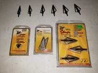 Stingers.jpg