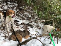 IMG953221.jpg