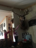 B37ACE50-CC78-4BB4-9F9F-34EC1046651C.jpeg B37ACE50-CC78-4BB4-9F9F-34EC1046651C.jpeg