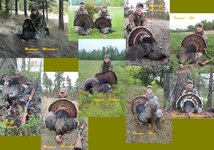 2015 Turkeys.jpg