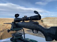 IMG_3829.jpeg