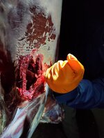 20210128_195157.jpg 20210128_195157.jpg