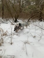 275DBDD9-AE07-4737-AD33-EBB59807BA7F.jpeg