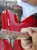 20160423_103318.jpg