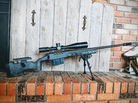 Grayboe_Ridgeback Stock.jpg