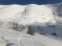 IMG_2360.JPG