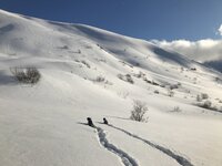IMG_2386.JPG