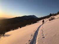 IMG_2429.JPG