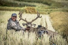 2018 Mule Deer.jpg