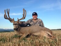 2013muledeer.jpeg