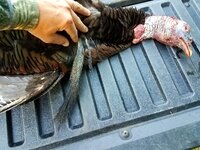 20170503_071130.jpg