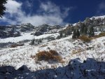 IMG_1477.jpg