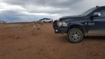 20160704_165137.jpg