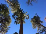 IMG_1817.jpg