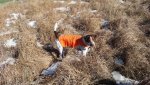 20151122_100814.jpg