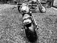 IMG_20200511_205458_261.jpg